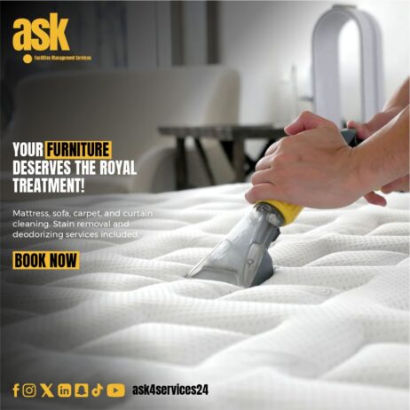 Furniture Cleaning